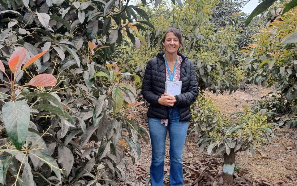 Arbolado urbano y gestión de residuos: pilares de la educación ambiental en Posadas